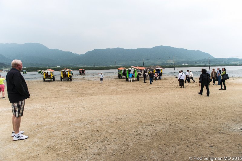 20150322_130903 D4S.jpg - Water buffalo carts on Taketomi Island